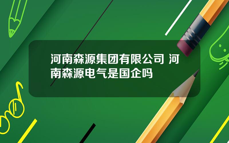 河南森源集团有限公司 河南森源电气是国企吗